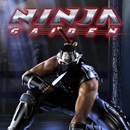 replikashop-videojatekok-vilaga-ninja-gaiden-ilTY